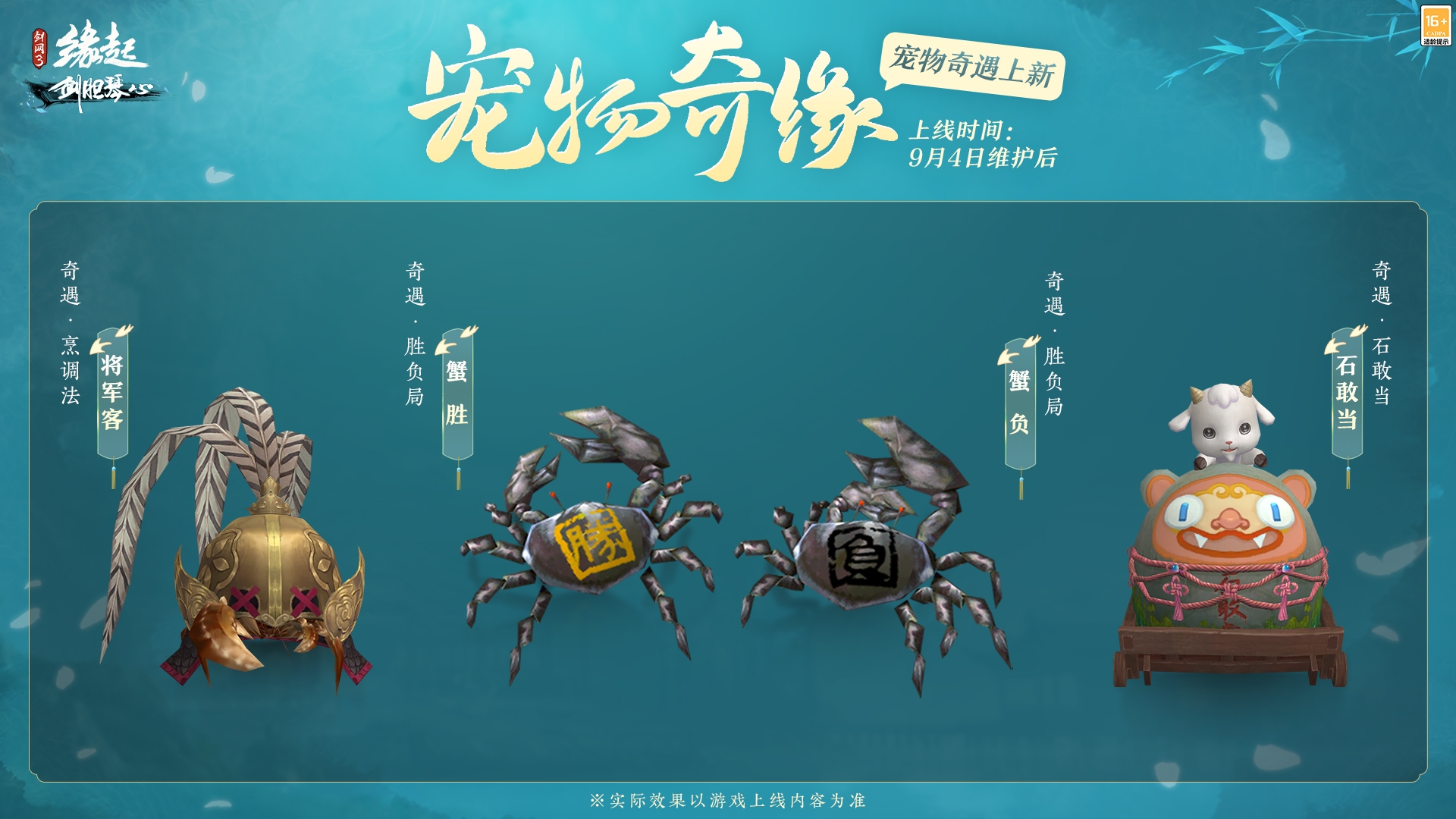 图片12.jpg